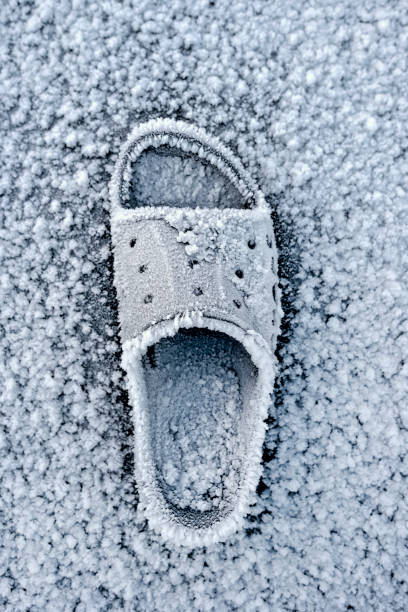 plastic sandal frozen on ice from sweden nature