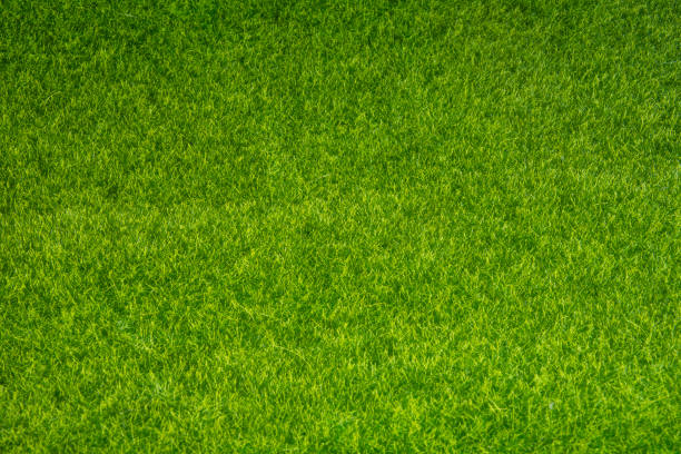 istock Imitation realistic green grass textured background 1357838883