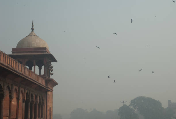 Black kites Milvus migrans soaring next to the Jama Masjid. stock photo