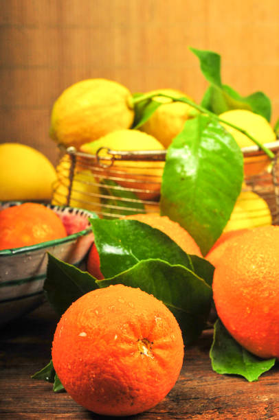 Citrus, a tree of a genus that includes citron, lemon, lime, orange, and grapefruit. Native to Asia, citrus trees are widely cultivated in warm countries for their fruit, which has juicy flesh and a pulpy rind.