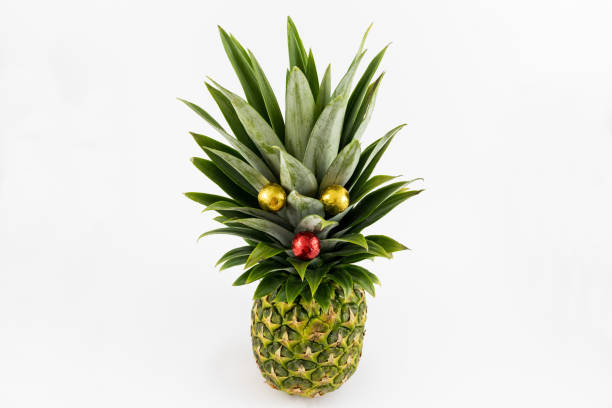 istock Pineapple Christmas tree, Pineapple looking like a Hedgehog 1357843735