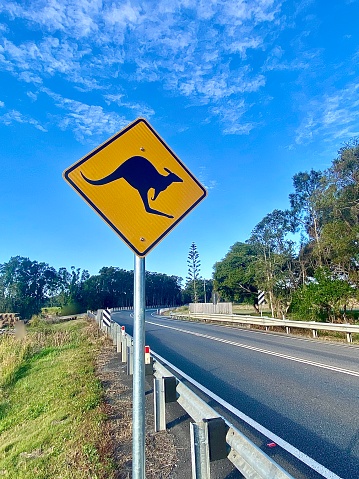 Vertical still life of public street yellow road sign warning of kangaroos in nature area of rural single lane tree lined NSW Australia