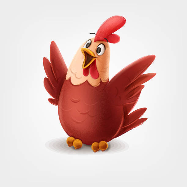 illustrazioni stock, clip art, cartoni animati e icone di tendenza di cartone animato di pollo - pollame domestico