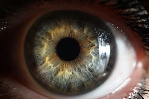 Extreme close-up of woman's hazel eye.