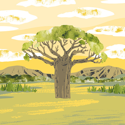 African savannah. Vector baobab tree.  Reserves and national parks outdoor. Bright hand draw vector Illustration with tree, mountains, grass, bushes and sunset
