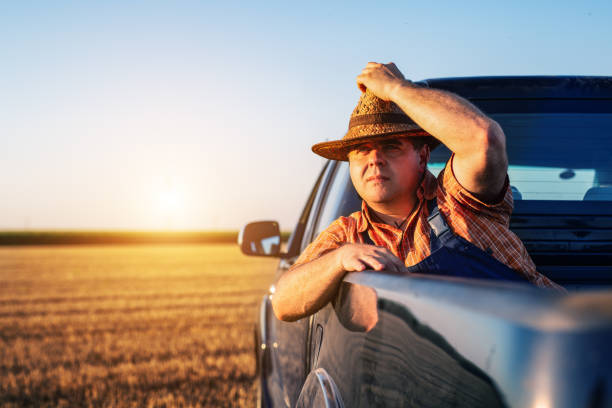 istock Farmer sitting on back of truck. 1357853378
