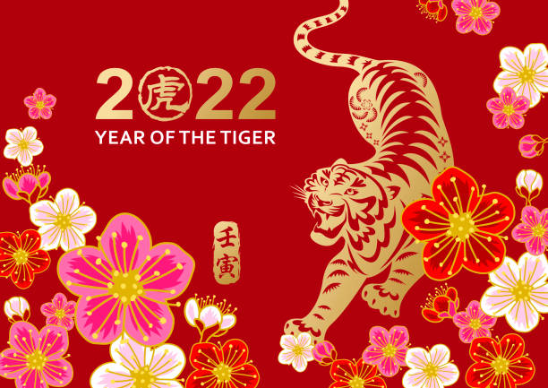 Plum Blossom of Tiger Year Celebrate Year of the Tiger 2022 with papercutting gold colored tiger on the plum blossom background, the circle Chinese stamp means tiger and the vertical Chinese stamp means year of the tiger according to lunar calendar system plum blossom stock illustrations