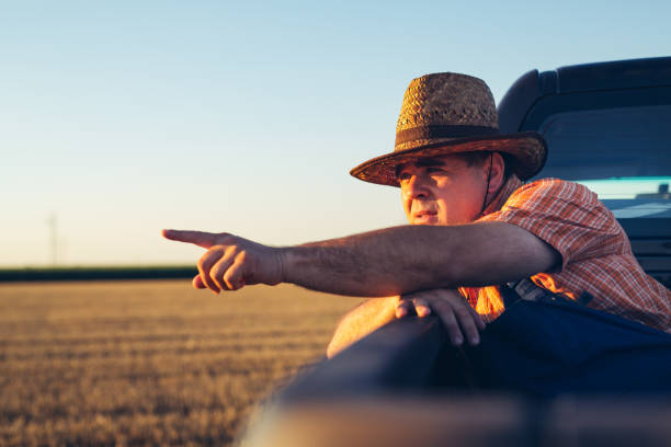istock Farmer sitting on back of truck. 1357853500