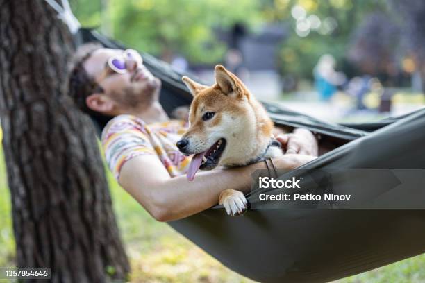 Man Relaxing With His Dog In The Hammock Stock Photo - Download Image Now - Hammock, Dog, Shiba Inu