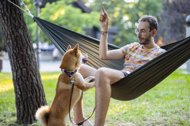 istock Training my little Shiba Inu 1357855115