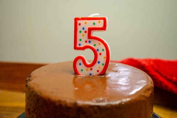 istock Small Chocolate Double Layer Cake with Chocolate Fudge Frosting 1357856029