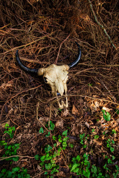 istock Living retaking the dead 1357856108