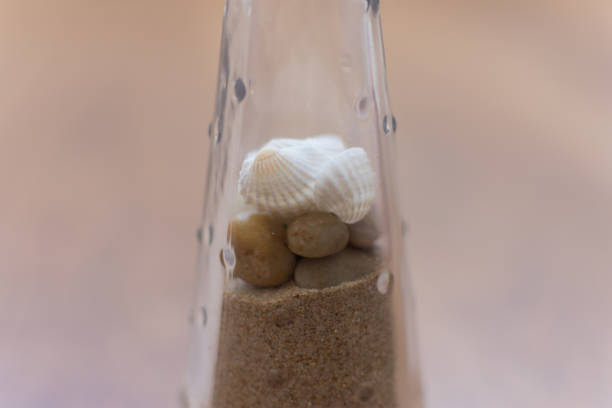 marine white shells with stones and sand in glass container · close-up · unfocused background