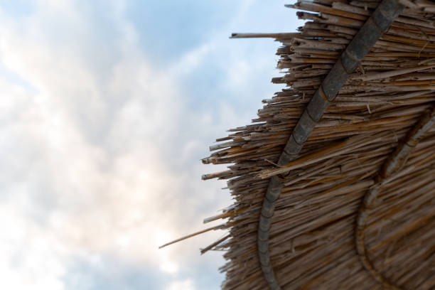 istock bamboo umbrella on the beach 1357859266