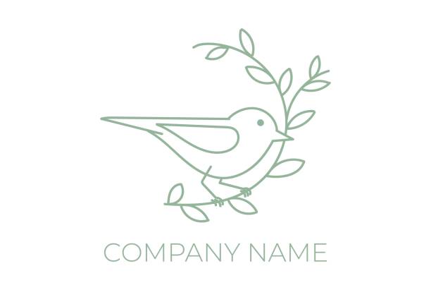 ilustrações, clipart, desenhos animados e ícones de simples beauty robin canary bird com emblema de design de de leaf branch - branch bird flying pets