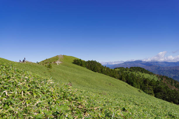 istock Fujimidai plateau 1357861800