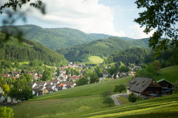 istock Beautiful view in the Black Forest 1357861965