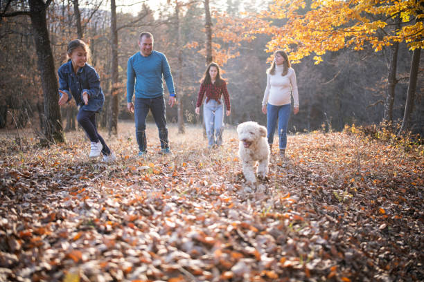 istock Unforgettable Family Moments Outdoors In Fall 1357862987