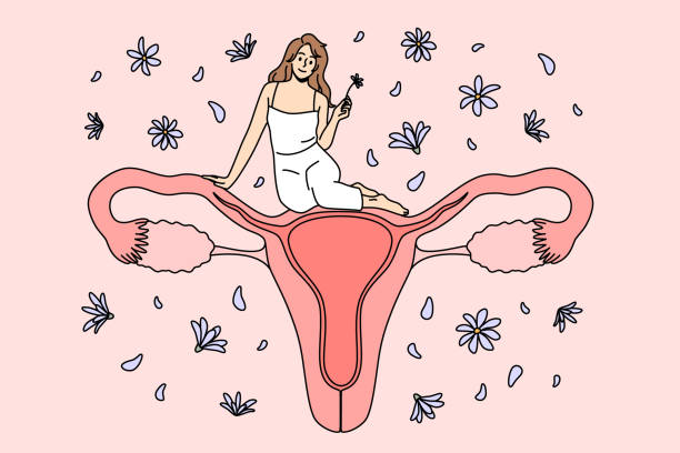 female reproductive system health concept - 性與生殖 插圖 幅插畫檔、美工圖案、卡通及圖標