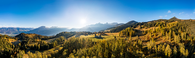 Aerial view panorama of a landscape with pine wood. Vorarlberg, Tschengla