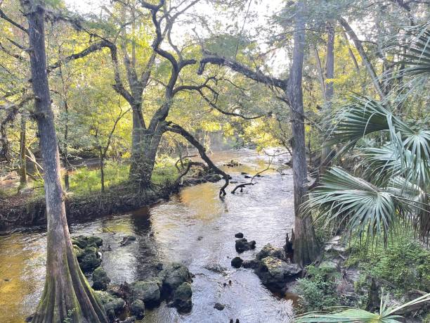istock Stream of Water 1357864759