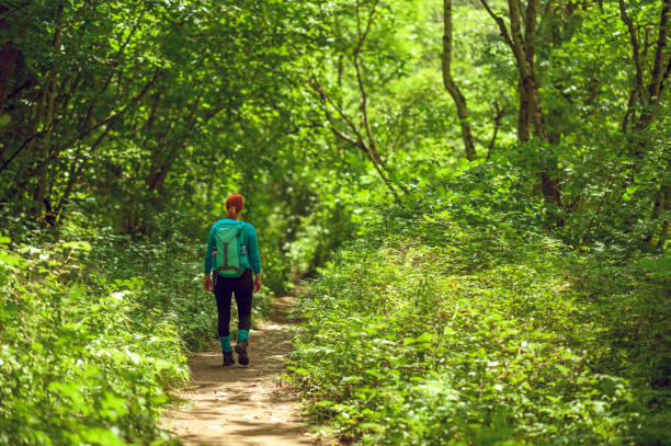istock The girl with backpack and goes through a beautiful forest 1357865878