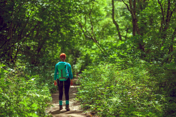 istock Photo of a woman hiker with backpack on a path through a thick forest with sunlight filtering through the tree 1357865890
