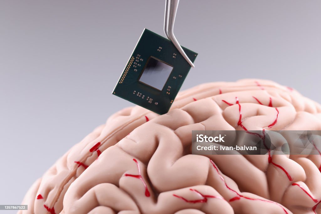 Human Brain And Computer Chip Microprocessor In Head Stock Photo ...