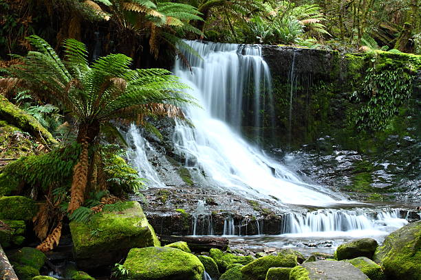 istock Long exposure of Australia's Russell Falls 135786898