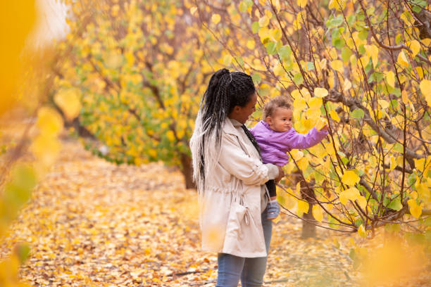 Woman and child among the trees with autumn leaves. stock photo