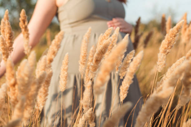 pregnant woman walking among dry fluffy grass on field, relaxation on summer nature, preparation for childbirth, health motherhood concept - couple human pregnancy sunset walking imagens e fotografias de stock