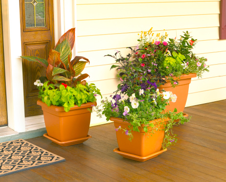 Plastic terra cotta flower planters on clasic front porch.  Spring/Summer blossoms and plants meticulously groomed, including petunias, coleus, mint and impatiens.