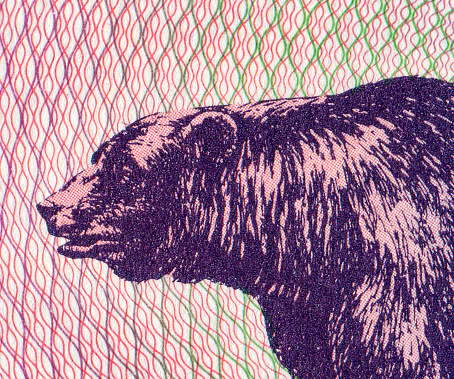 Bear Pattern Design on Belarusian Banknotes