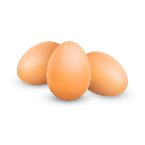 그림자가 있는 사실적인 치킨 브라운 계란. 화이트 배경에 고립 된 전체 암탉 계란을 클로즈업 3d - white background brown animal egg ellipse stock illustrations