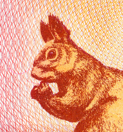 Squirrel Pattern Design on Belarusian Banknotes