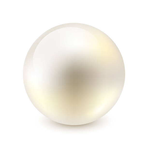 istock Vector illustration of single shiny natural white sea pearl with light effects isolated on white background 1357873877