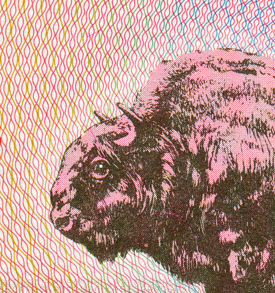 Yak Pattern Design on Belarusian Banknotes