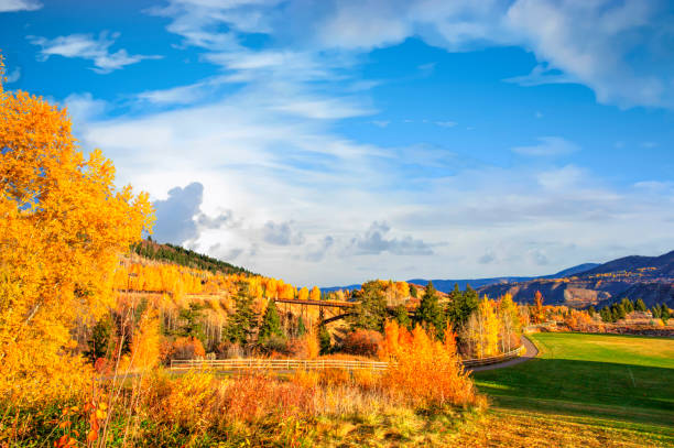 istock Autumn Colors-Aspen Colorado 1357874960