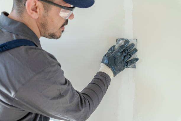 lixadeira drywall - house painter painting paint men - fotografias e filmes do acervo