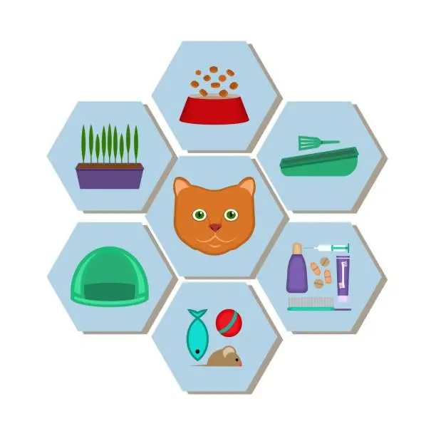 Vector illustration of A set of goods for cats.
