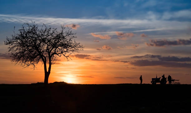 A silhouette of a tractor while the sunsets.