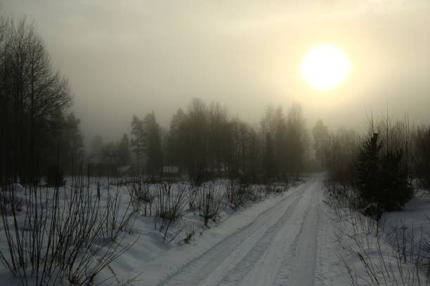 Snowy road on a misty day in Lapland.