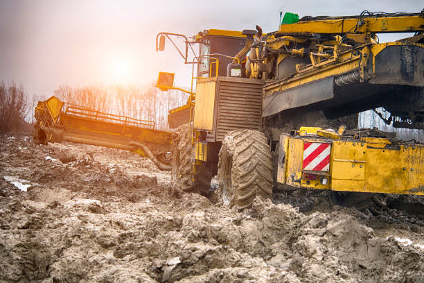 サトウキビの収穫 - beet sugar tractor field ストックフォトと画像