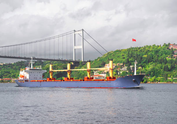 giant bulk cargo ship passing bosphorus strait, istanbul, turkey. water transport concept - boğaziçi fotoğraflar stok fotoğraflar ve resimler