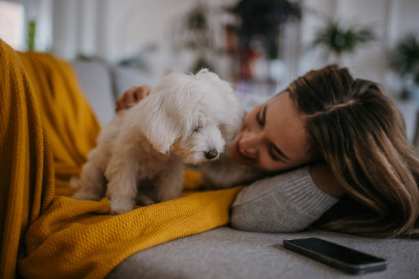 istock Woman playing her pet dog 1357886644