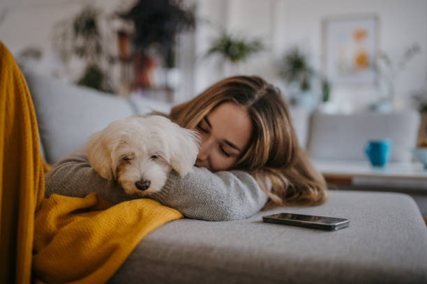 istock Woman playing her pet dog 1357887272