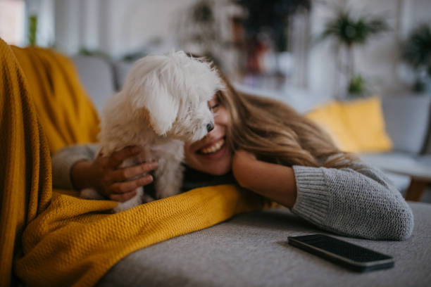 istock Woman playing her pet dog 1357887332