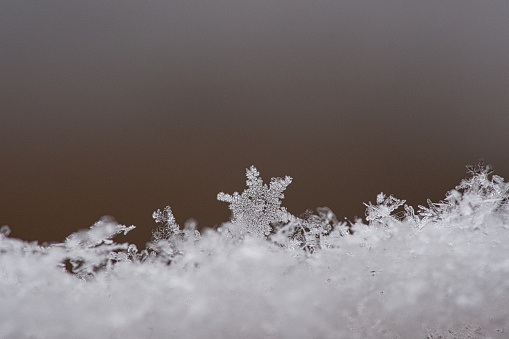 snowflake and ice crystal in the snow. individually depicted. wintry atmosphere. detailed and isolated.