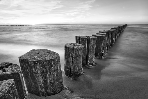 groynes at the baltic sea in black and white with a lot of structure
