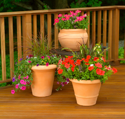 A stunning view of a balcony with pots full of beautiful flowers and plants from a yellow house